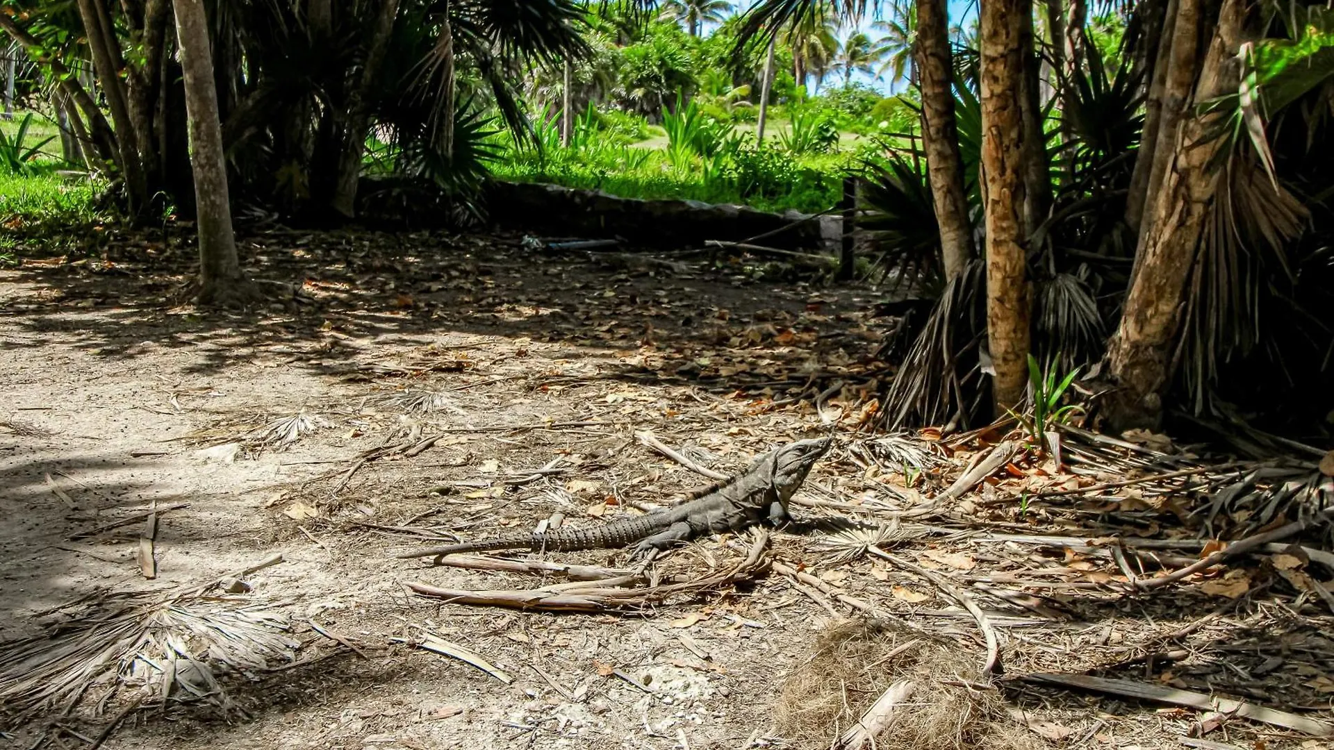 Miraluna 233 At Luum Zama Tulum